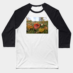 Toadstool Mushroom with dew drops - Christmas card Baseball T-Shirt